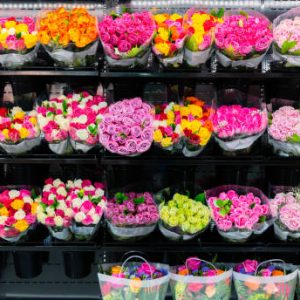 생일·기념일·프로포즈까지, 상황별로 완벽한 포항꽃집 선택 노하우